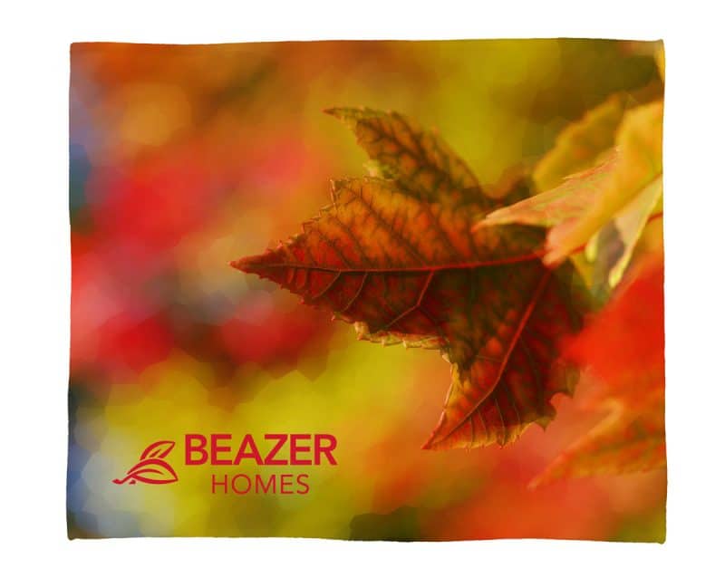 Pro Vision Plush Throw - 5