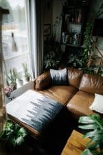 tentree Organic Cotton Juniper Blanket - 1