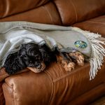 Fringed Throw Blanket - 9